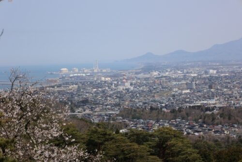 上越市で不動産売却するならどこがおすすめ？土地・戸建て・マンション・査定に強い会社7選